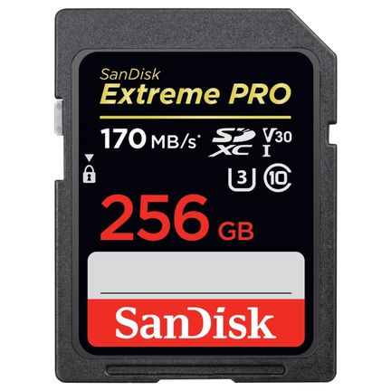  SanDisk Extreme Pro SDXC SDXXY 256GB Memory Card - 170MB/s R, 90MB/s W