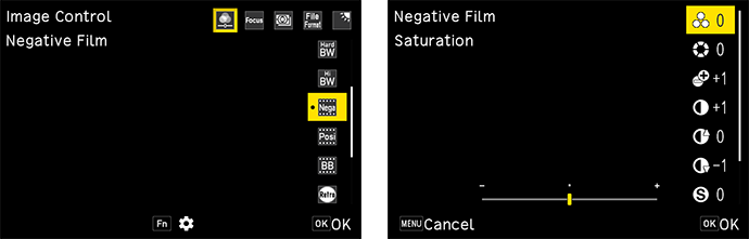 Image Control [Negative Film]